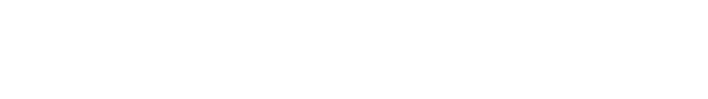RapidFort